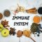 Ways of boosting your immune system