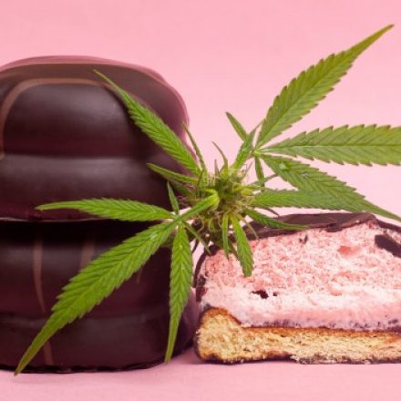 A SIMPLE GUIDE TO CBD EDIBLES